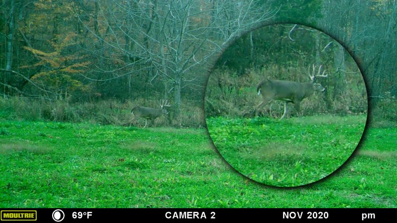 What It Feels Like to Miss the Biggest Buck of Your Life, at 45 Yards