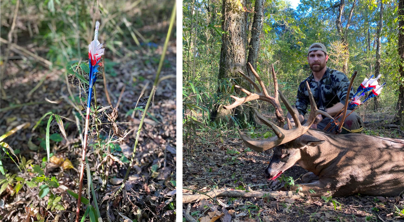 A blue and white and red traditional arrow beside a hunter and his giant whitetail buck.