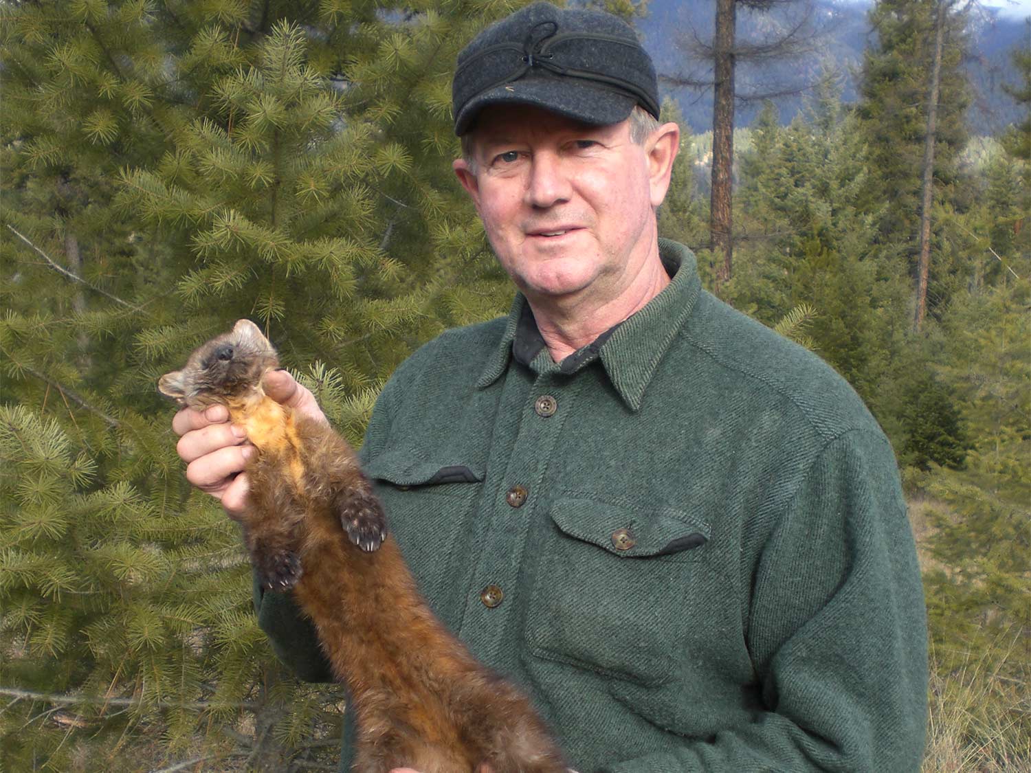 A man holds up a large rocky mountain marten.