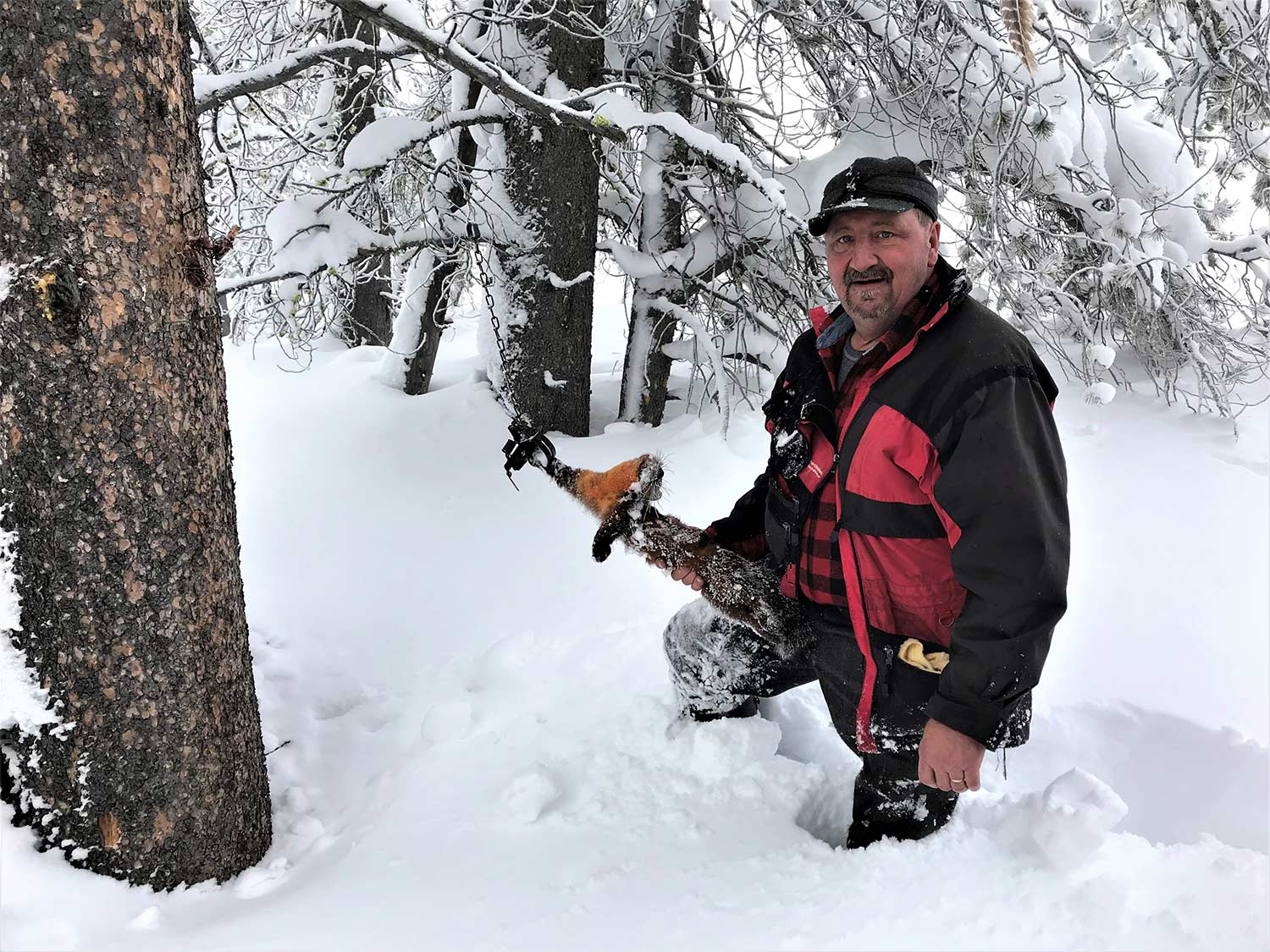 A hunter holds a trapped Marten while wading in the snow.
