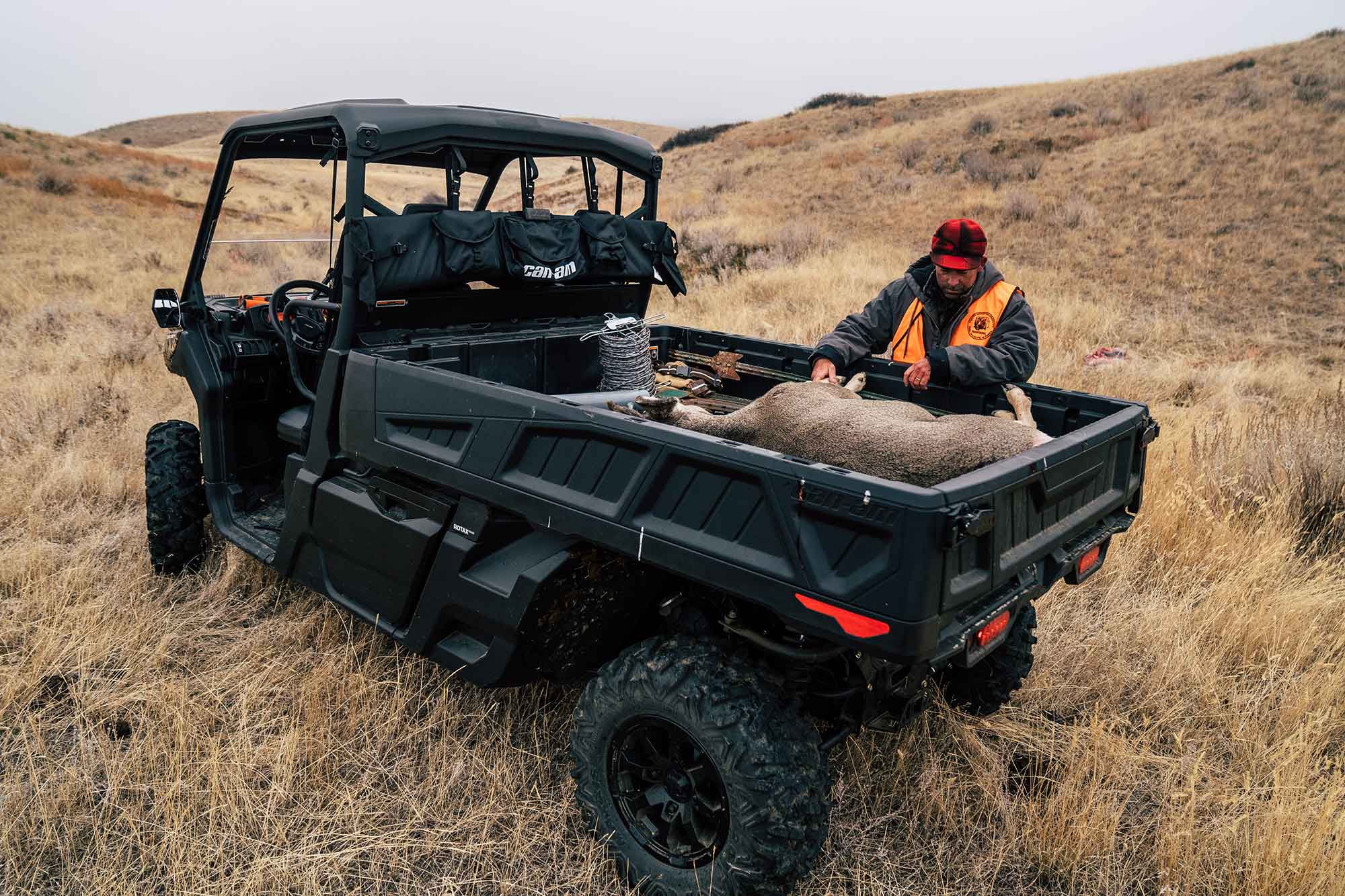 Loading a muley doe into the Can-Am Defender.