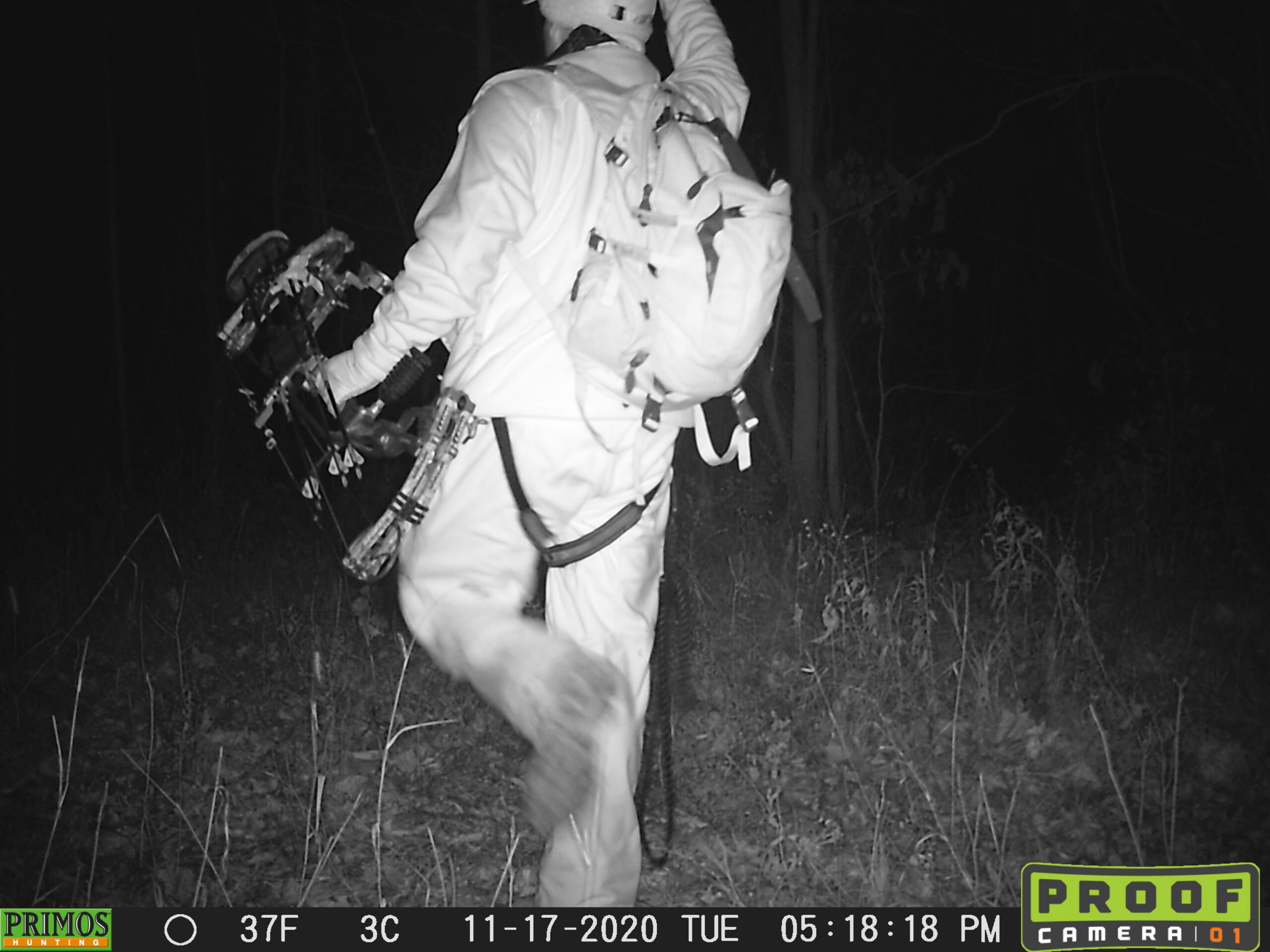 A hunter with a safety harness and a bow caught on trail camera after dark.