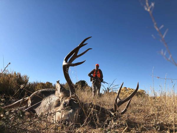 7 Rules You Must Follow to Punch Your Big-Game Tag on Public Land
