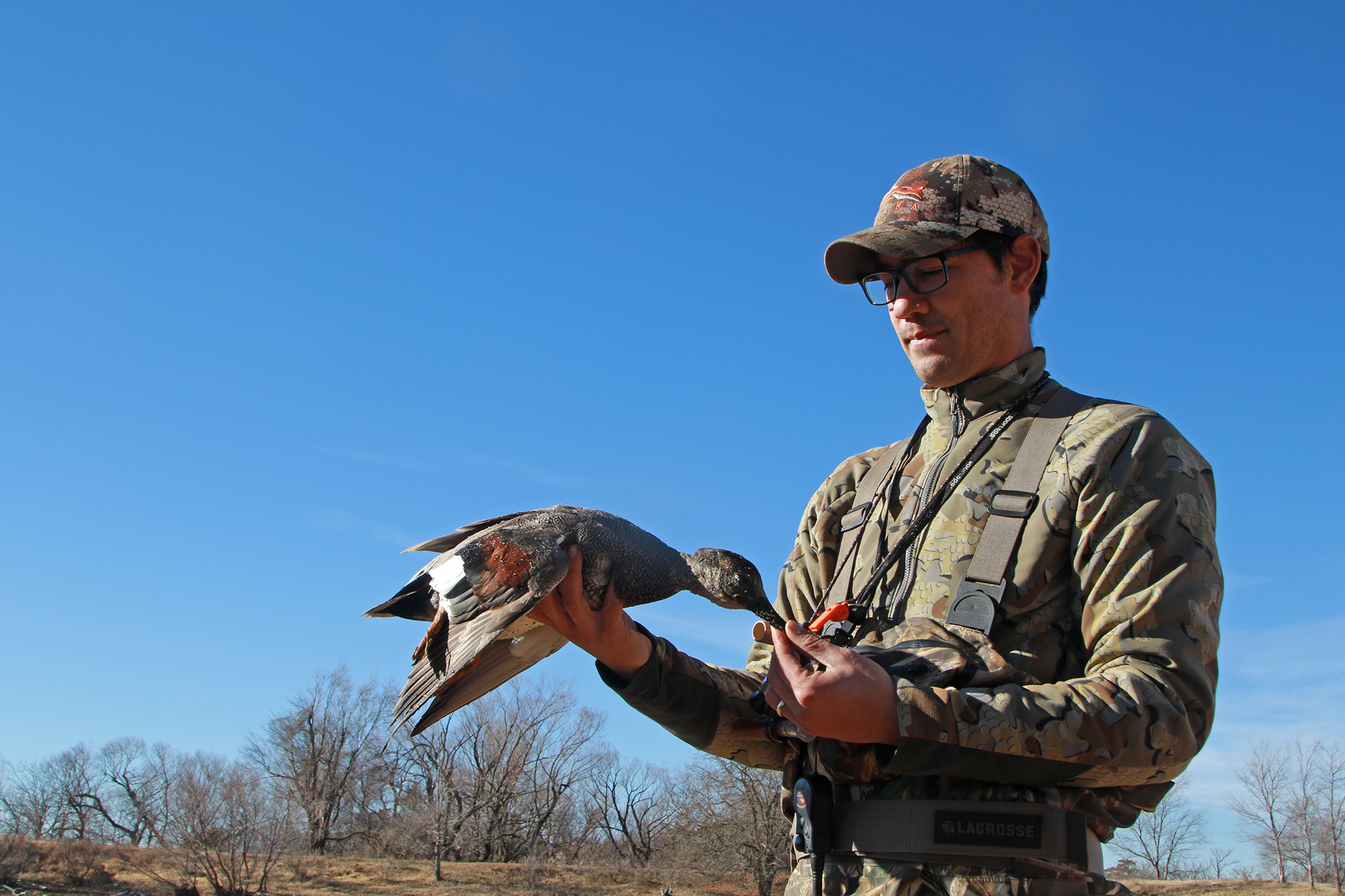Gadwall duck hunt in Oklahoma.