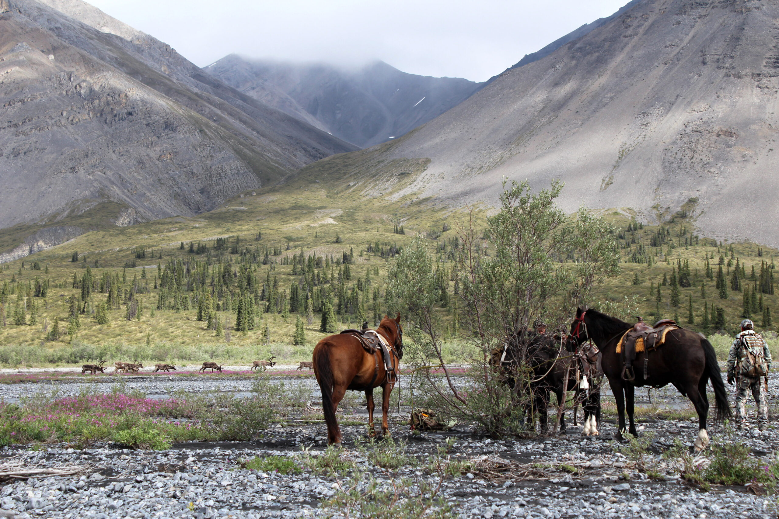 Two caribou hunters and their horses stand in the foreground of a big mountain valley in British Columbia.
