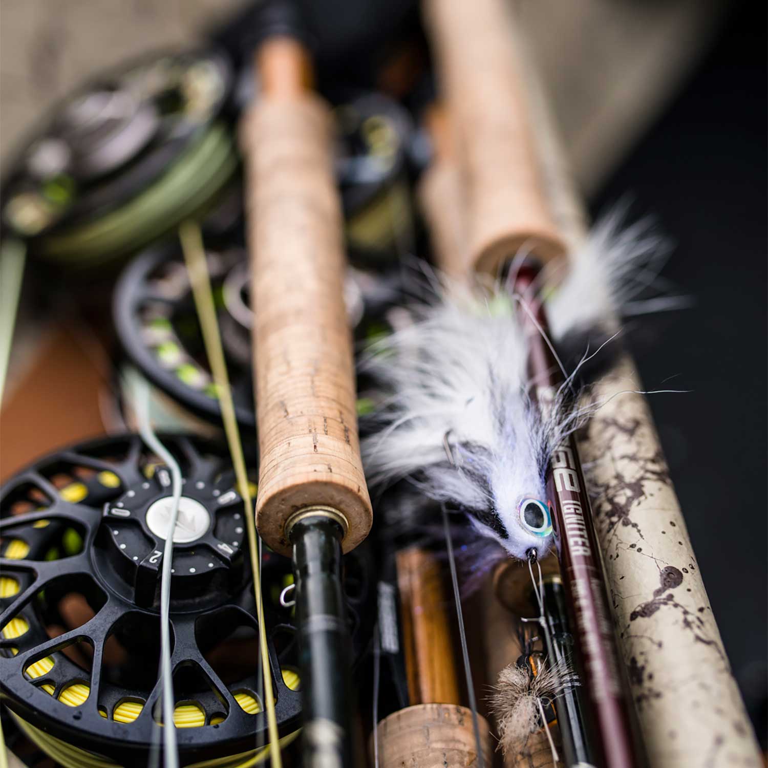 Winter Fly Fishing: How to Catch Trout on Streamers this Holiday