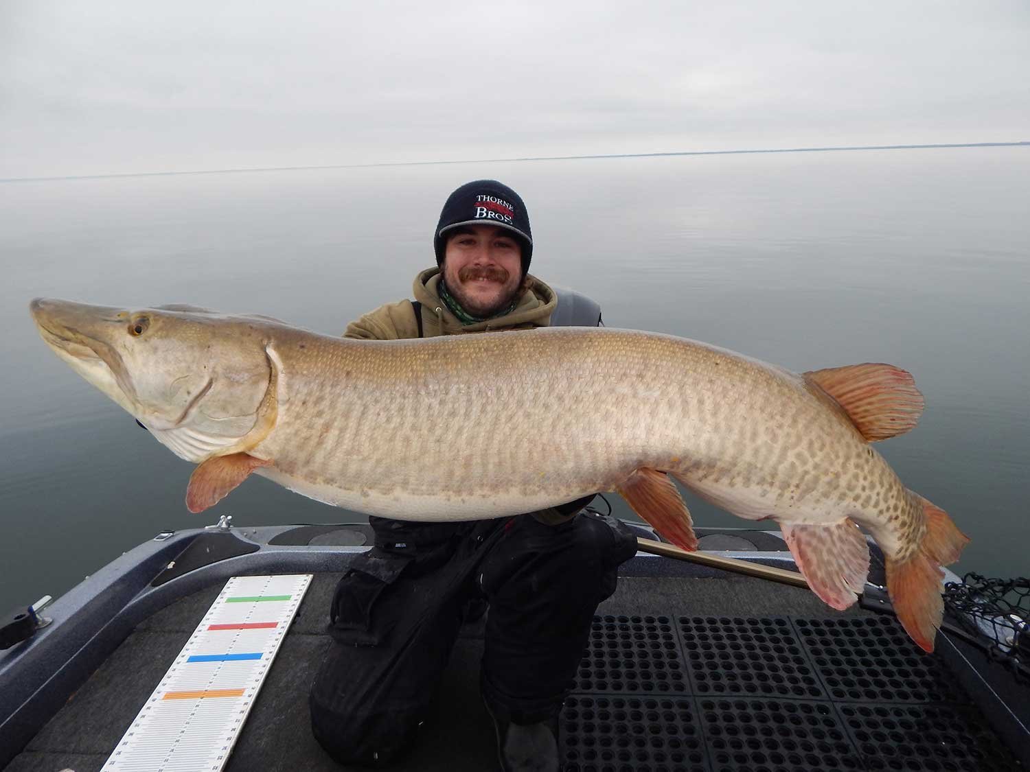 Muskie