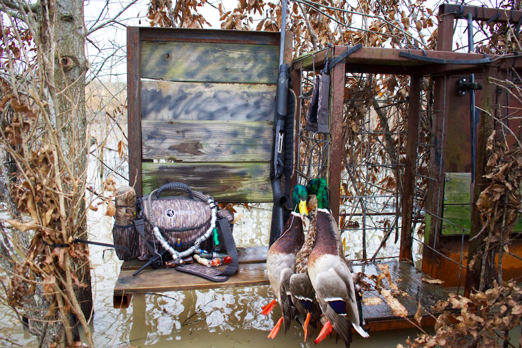 Benelli's Super Black Eagle lineup has long been a favorite of duck hunters across the U.S.