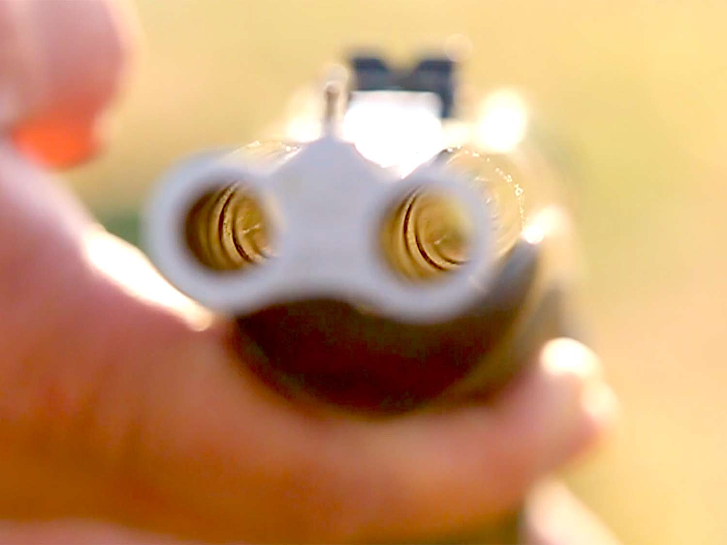 The double rifle bore muzzles.