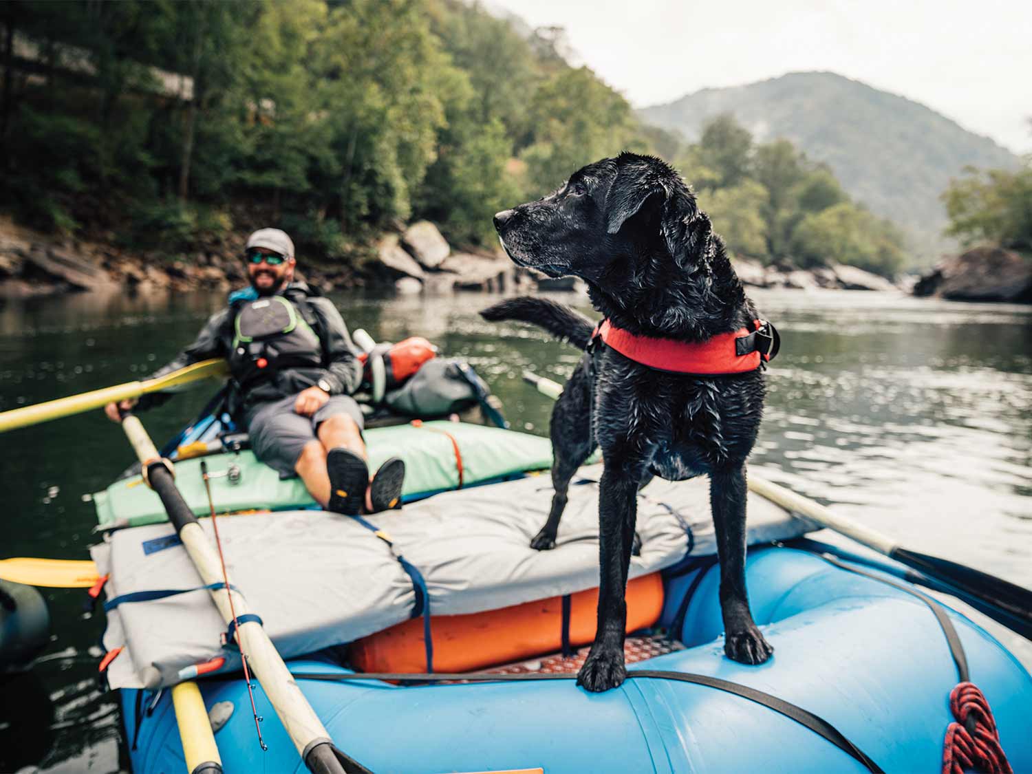 Angler and black lab on a fishing boat.