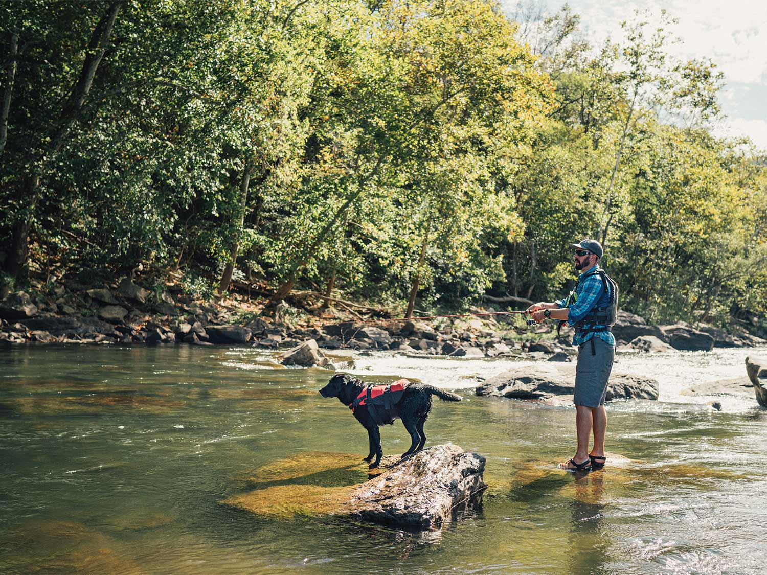 Angler and a dog in a river.