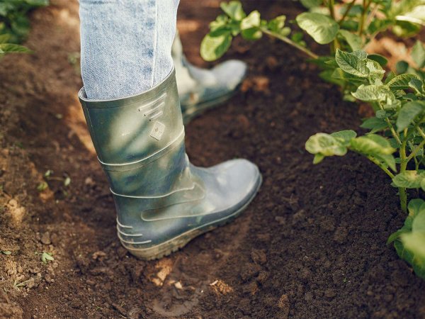 Best rain boots for women: Keep your feet dry in soggy conditions