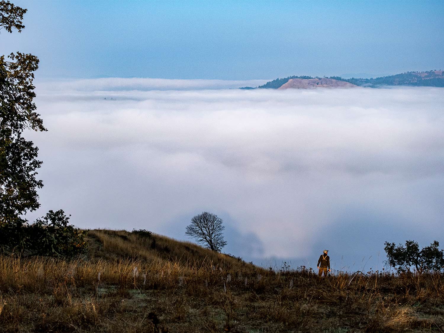 A single hunter walks along the hillside of the Oregon uplands.
