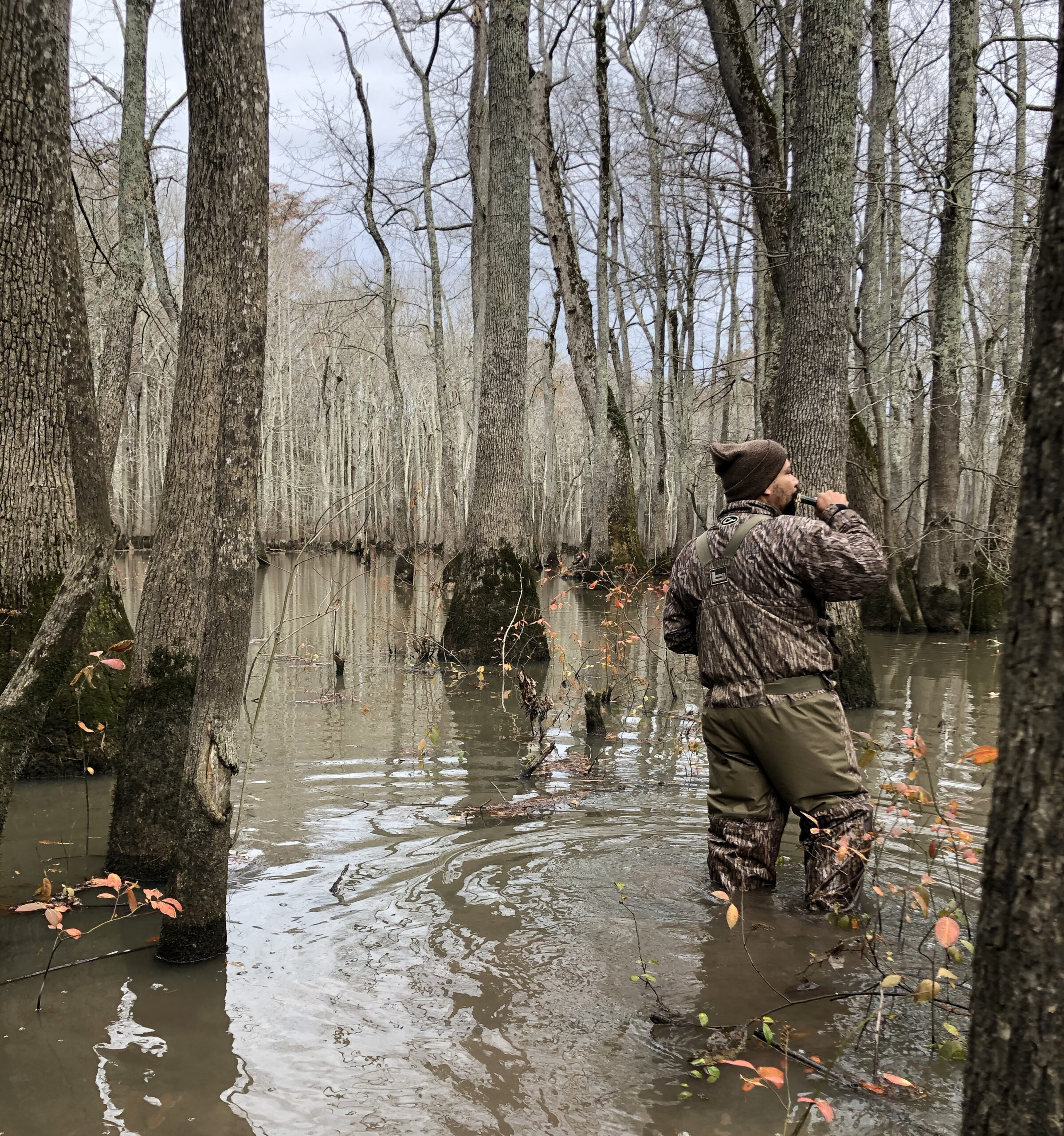 An Arkansas duck hunter in camo waders calls to mallards as he hunts timber.