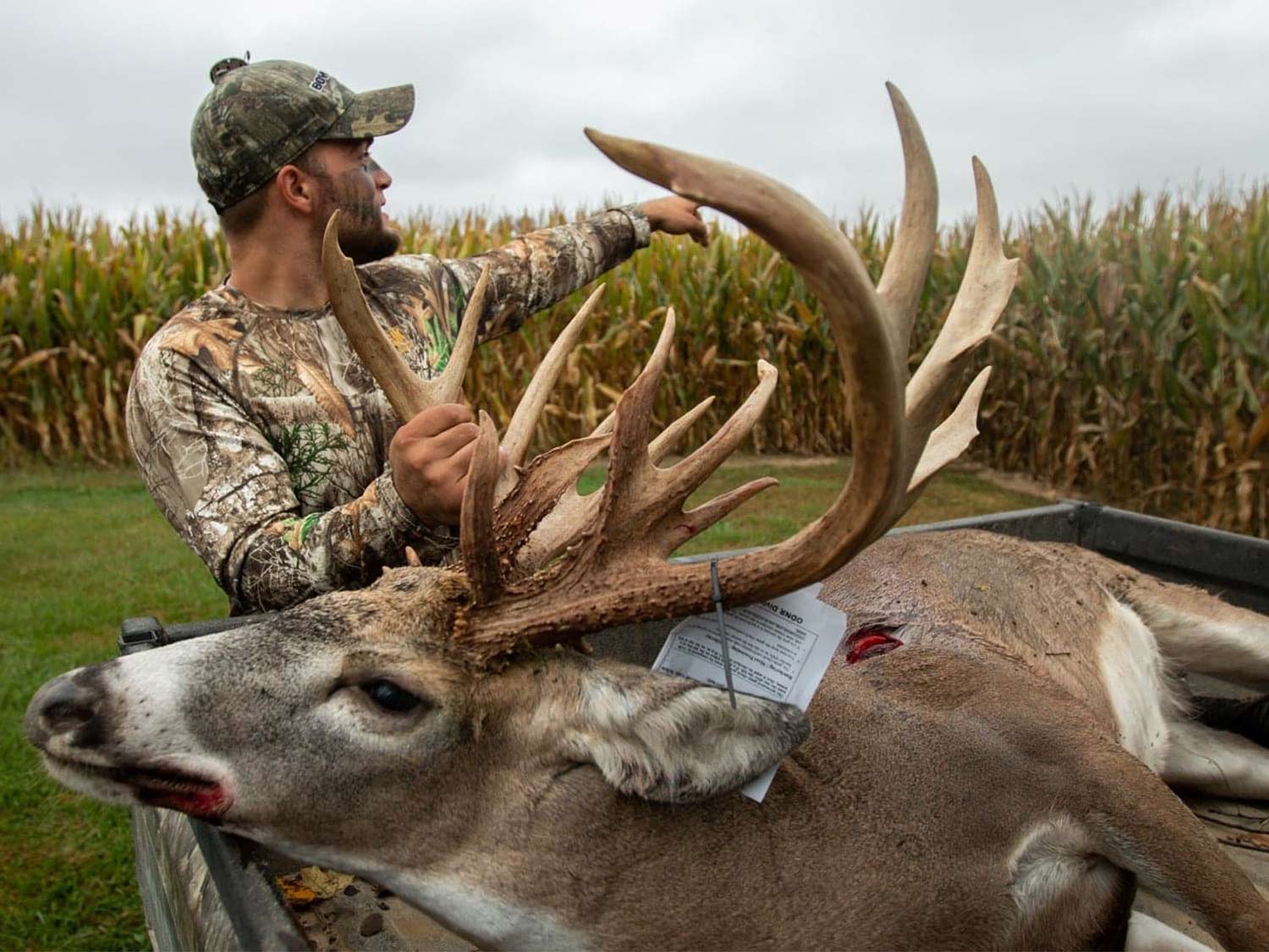 A hunter kneels by a whitetail deer and holds its head by the antlers.