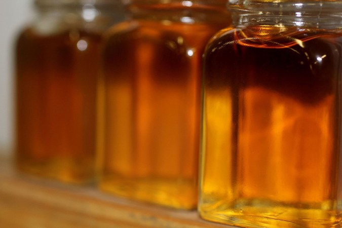 How to Harvest and Make Your Own Maple Syrup (and Utilize Syrup from Other Tree Species)
