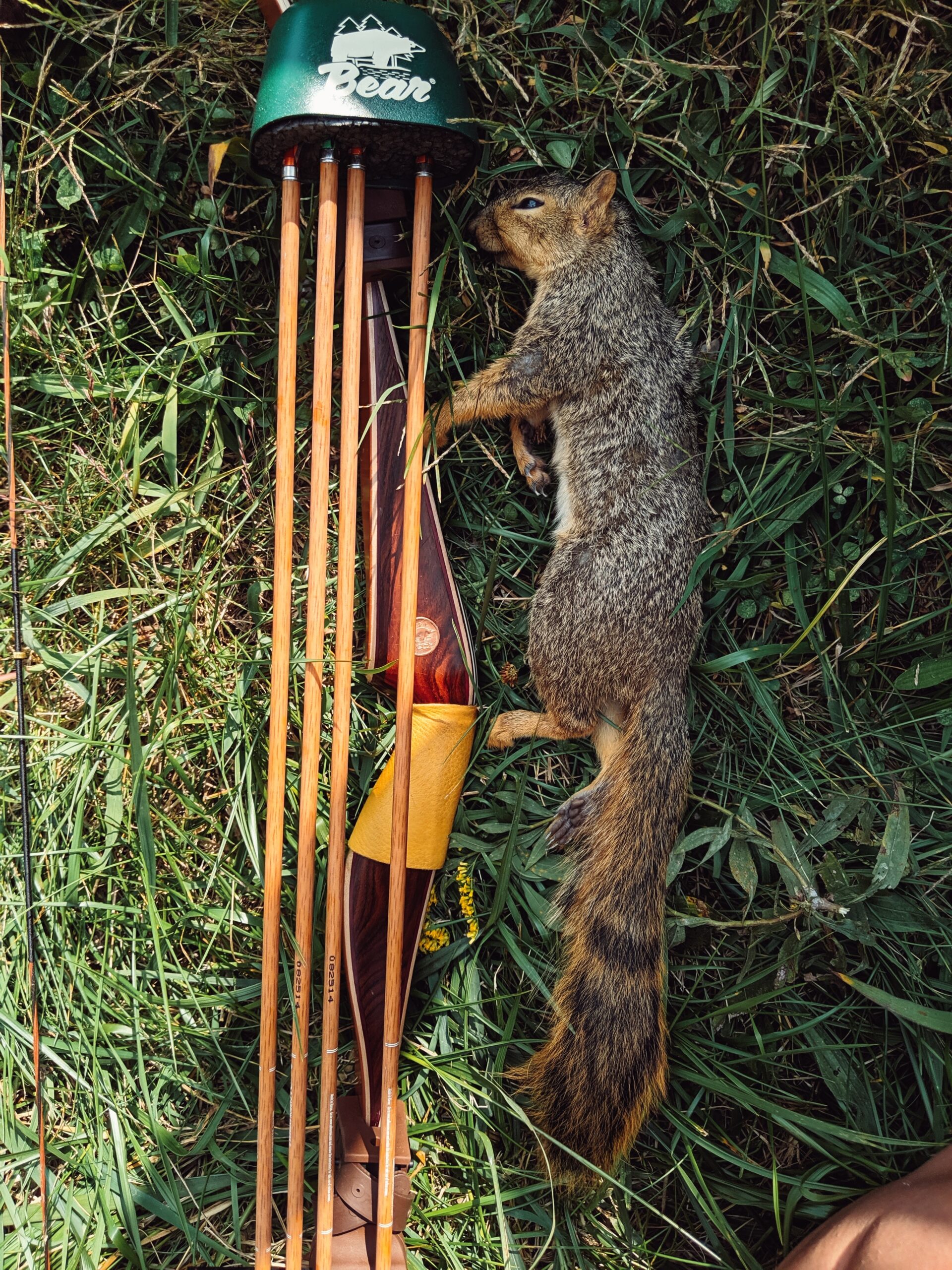 A dead squirrel beside a traditional bow and quiver.