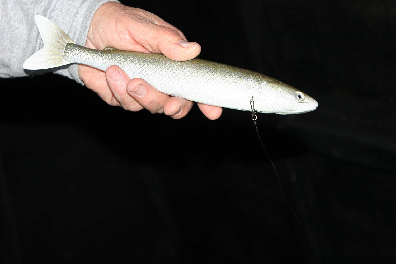 A smelt decoy for pike fishing.