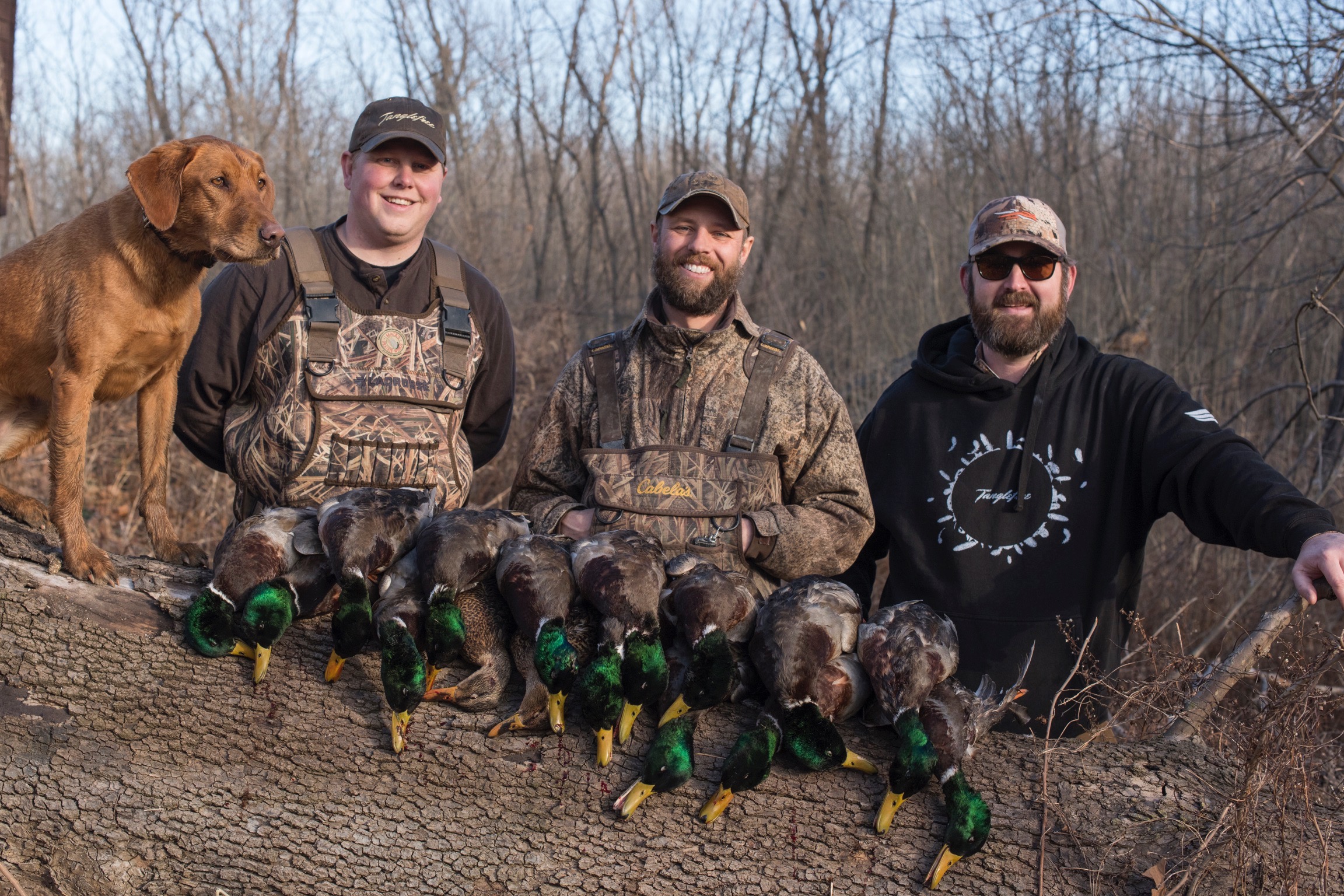 This late-season hunt was a success because the author and his buddies picked off mallards coming in to a flooded field early afternoon, killing greenheads in singles and pairs and educating very few ducks.