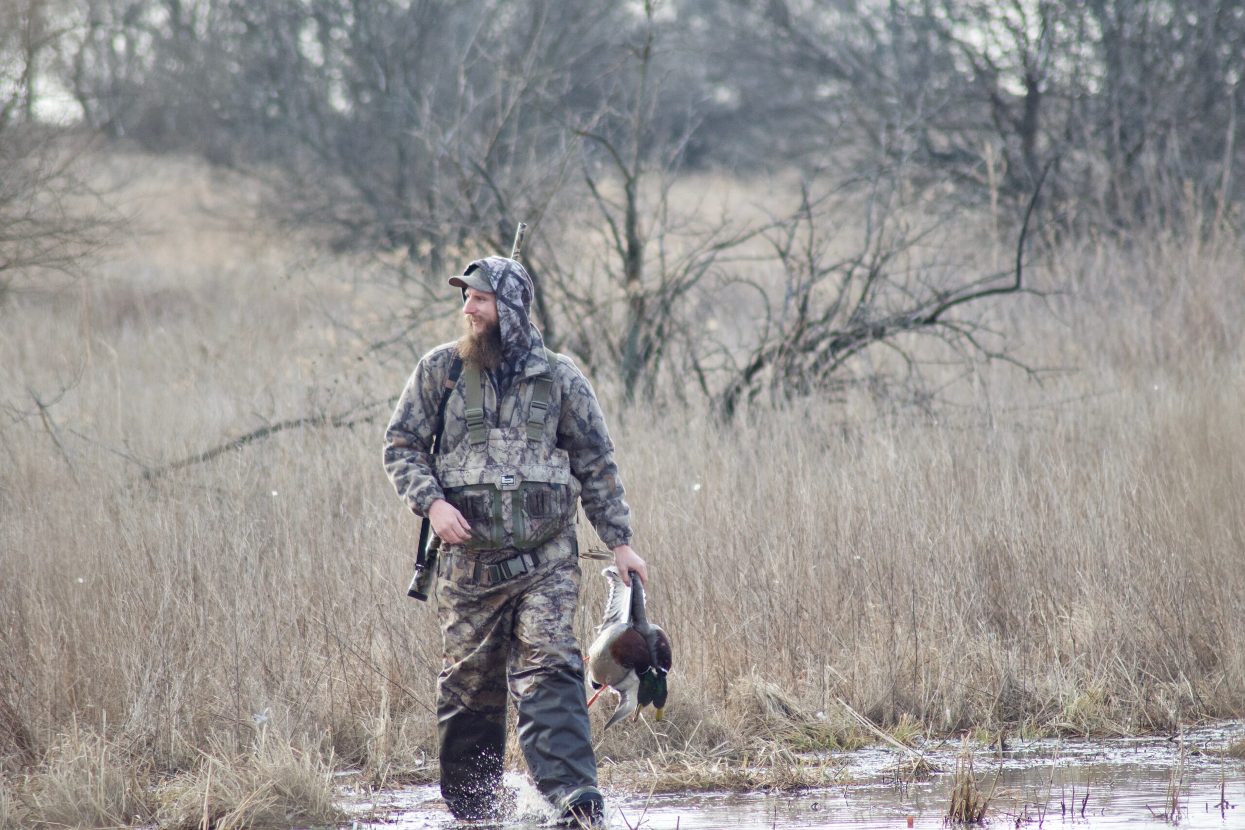 There's only one species of mallard no matter what continent you shoot one on.