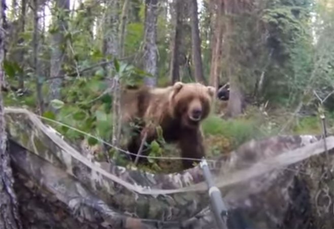 “Whoa Bear. Get Outta Here.” How to Talk Your Way Out of a Dangerous Wildlife Encounter