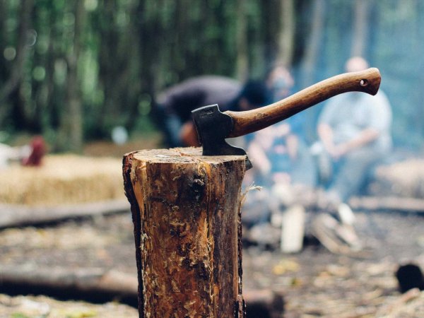 Best Hatchets for Camping, Wood Splitting, Survival, and More