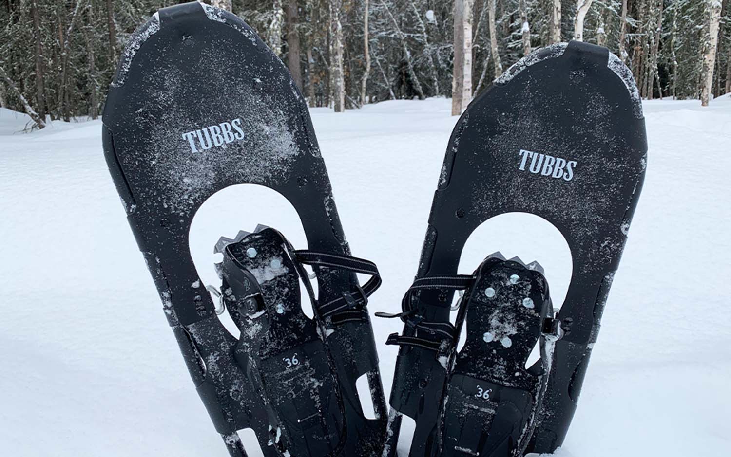 A pair of black snowshoes standing in the snow