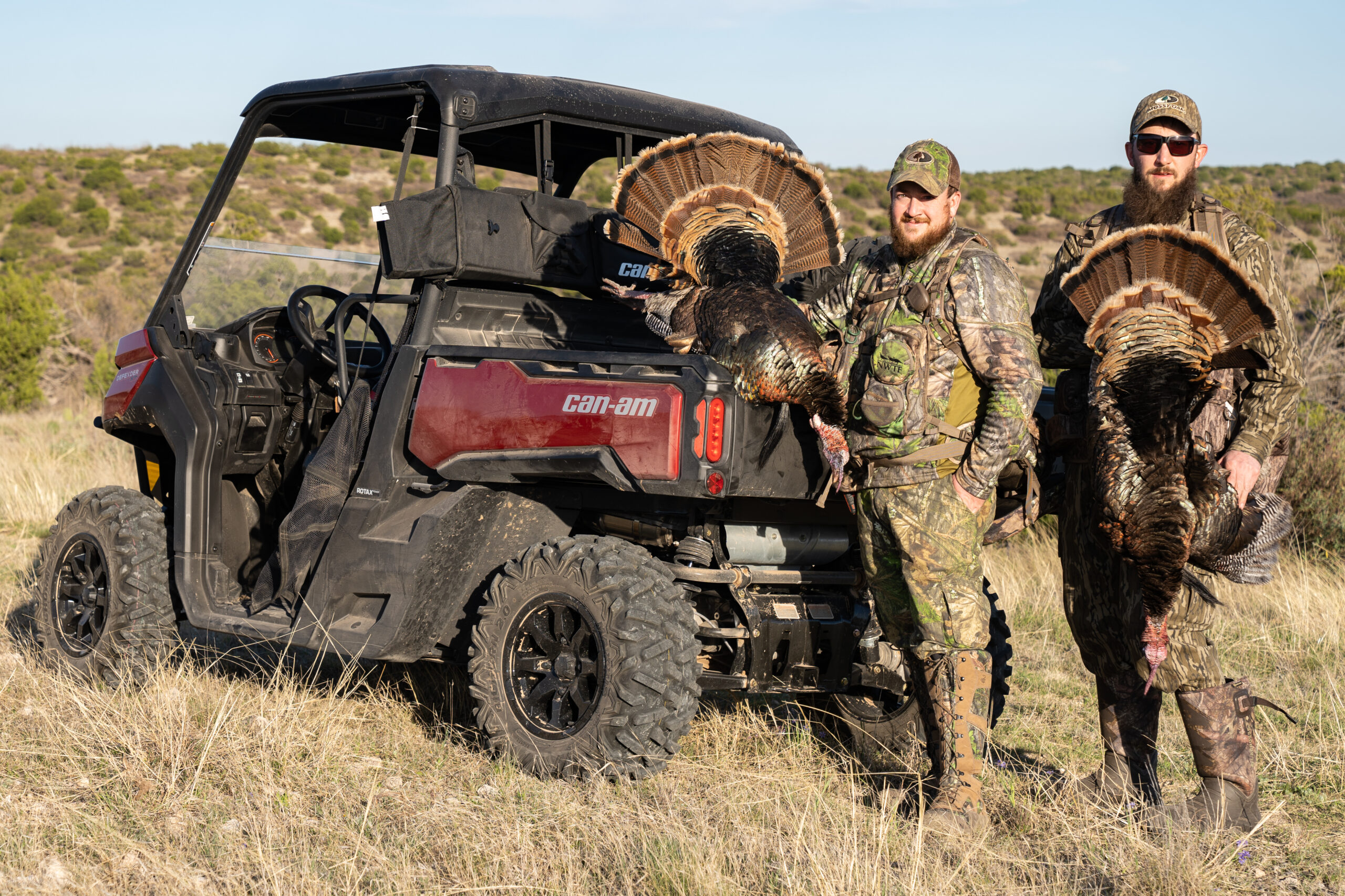 You can shoot up to four longbeards in Texas.