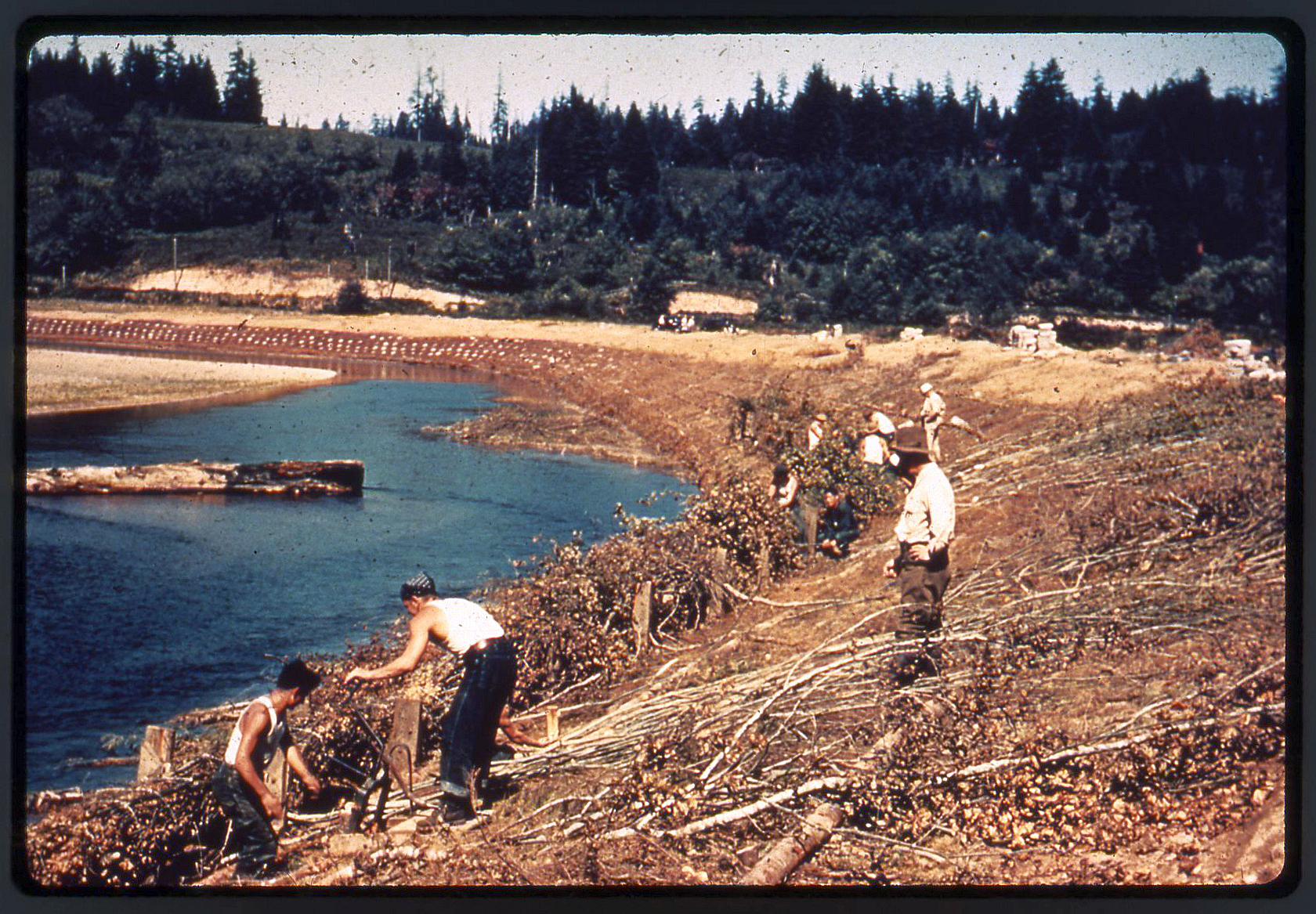 Civilian Conservation Corps working on environmental projects.