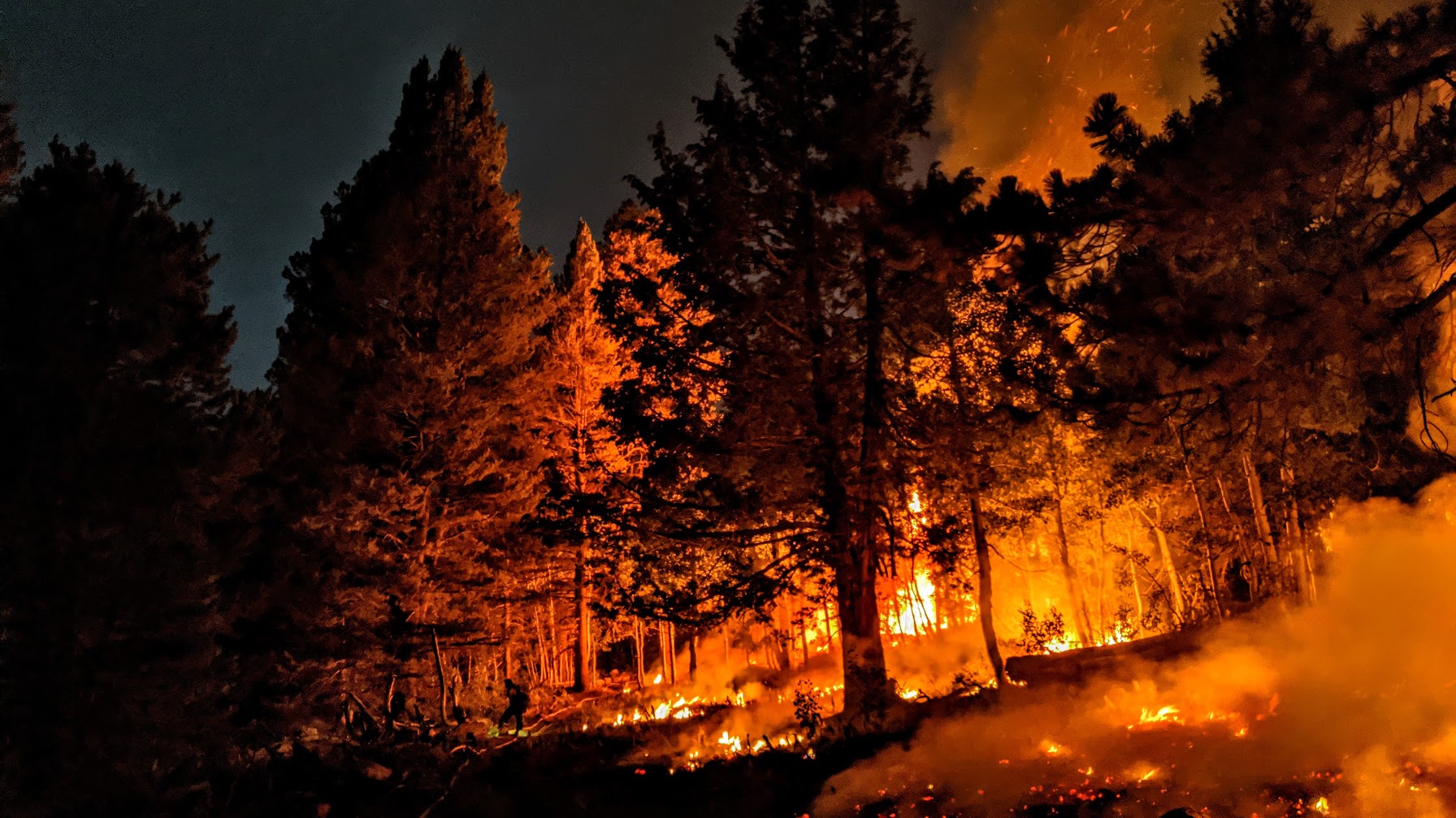 A blazing wildfire, many of which could be prevented with civilian timber management.