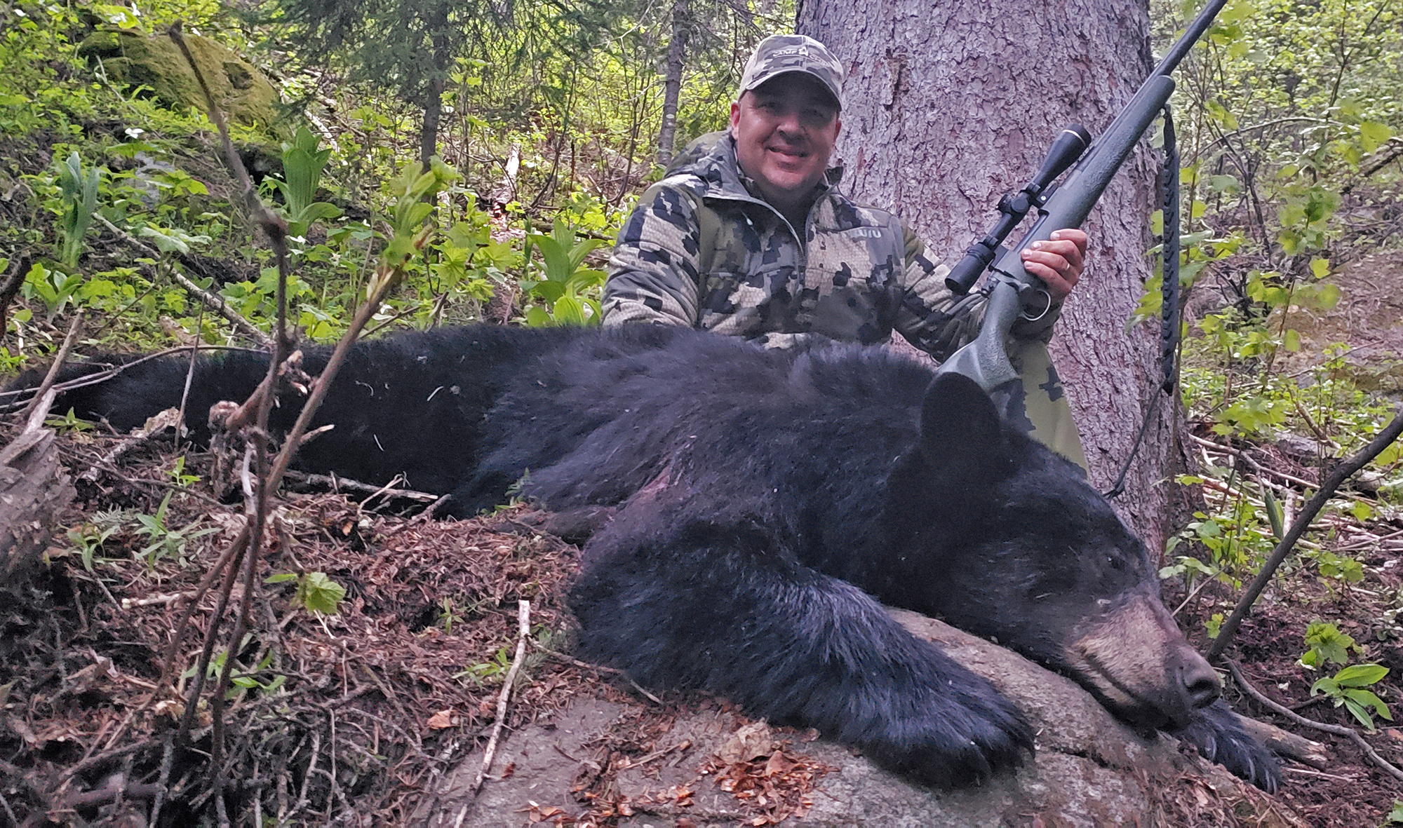 Idaho black bear