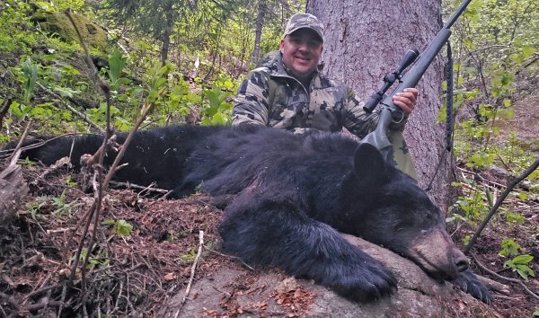 Idaho Black Bear Hunting Offers a Close-to-Home Adventure