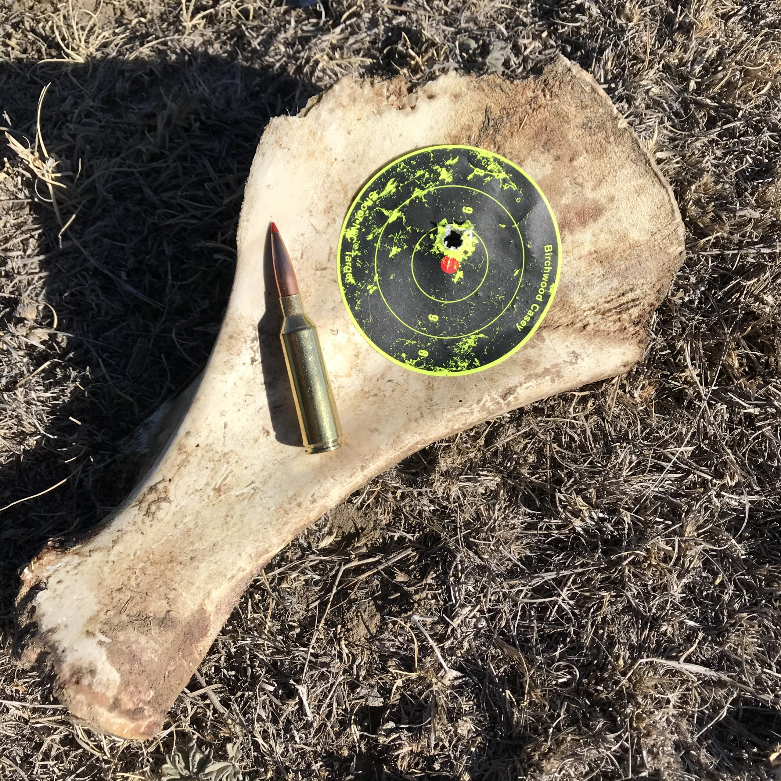 A dead-on rifle shot made with a makeshift bone target before setting out to hunt.