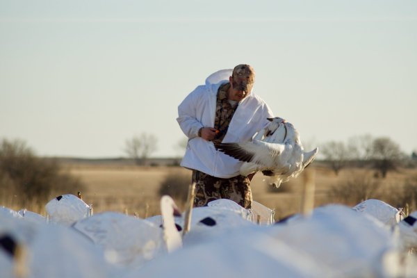 How to Be a Casual (and Ethical) Snow Goose Hunter