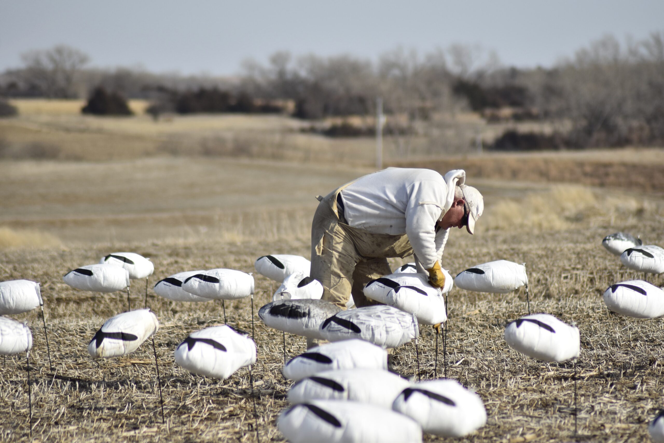 Bring some extra shotshells if you are a snow goose guest.