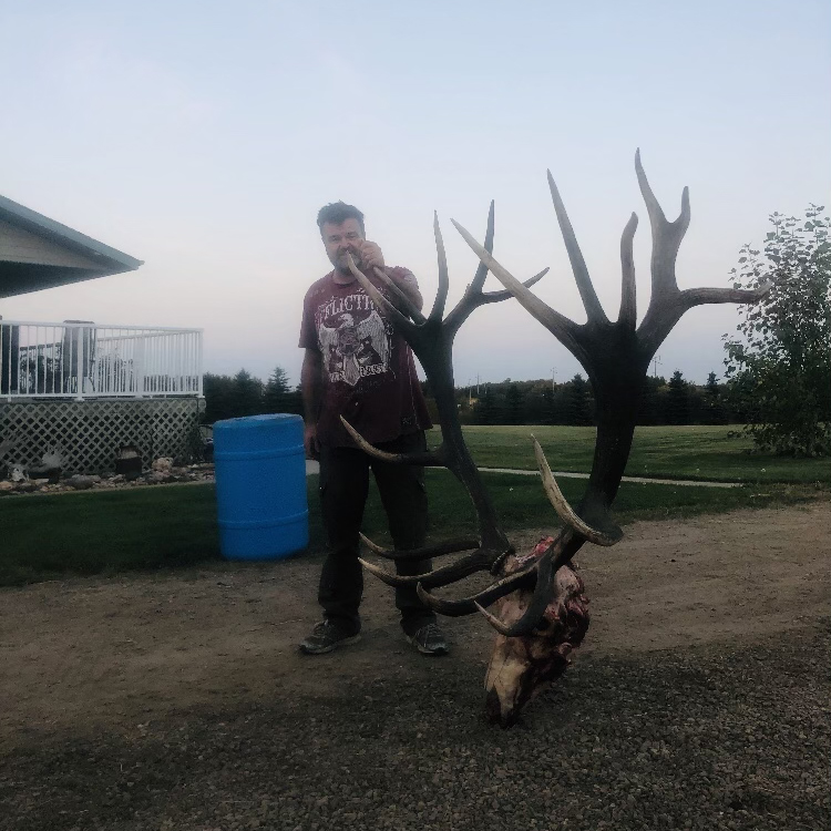 An Alberta bowhunter stands beside the giant skinned skull of a bull elk.