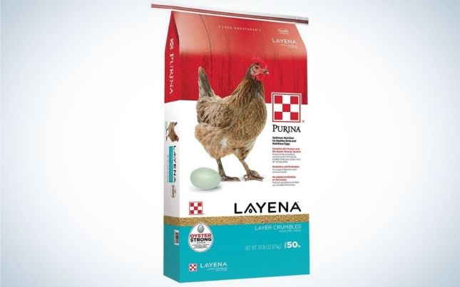 A three colored pack with nutritionally complete layer hen feed crumbles in it.