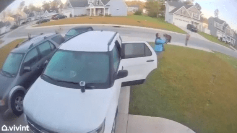 Video of a Man Chucking a Rabid Bobcat Is Taking the Internet by Storm