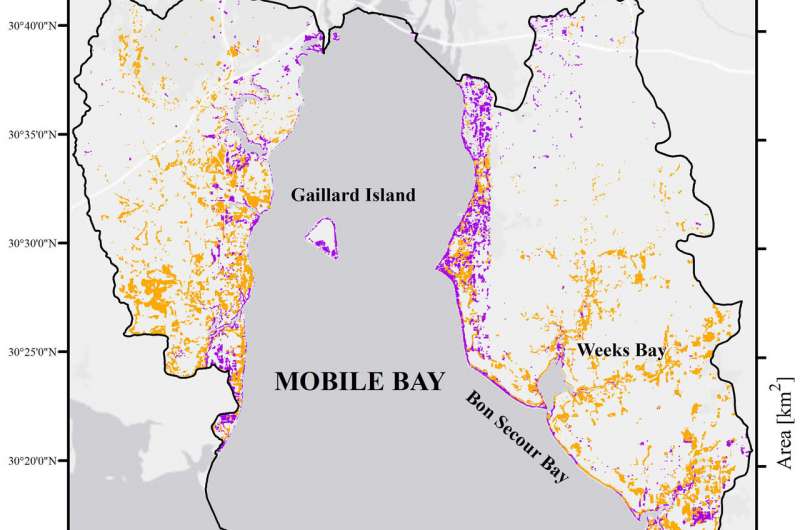 Map of Mobile Bay habitat and marsh loss.