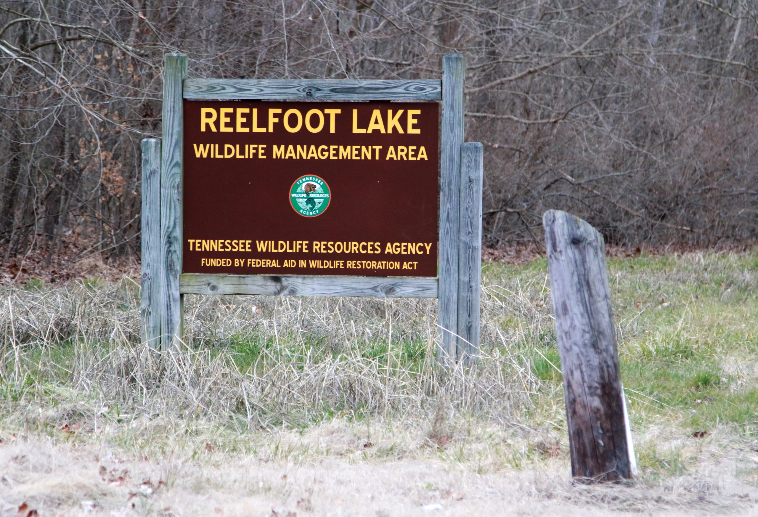 Reelfoot Lake Wildlife Management Area