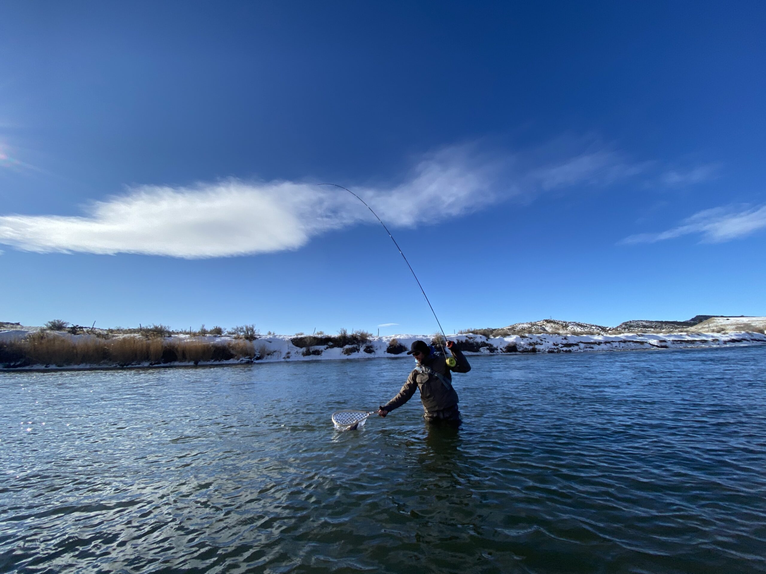 An angler nets a trout in a Wyoming river.