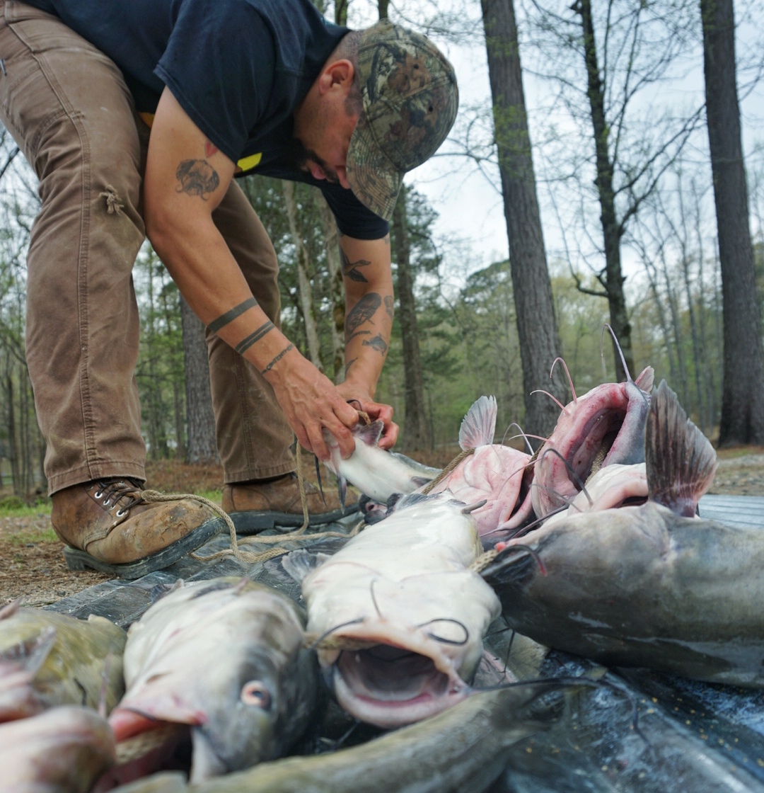 Catching catfish with hand-dug worms is an ode to competency and close to home adventures.