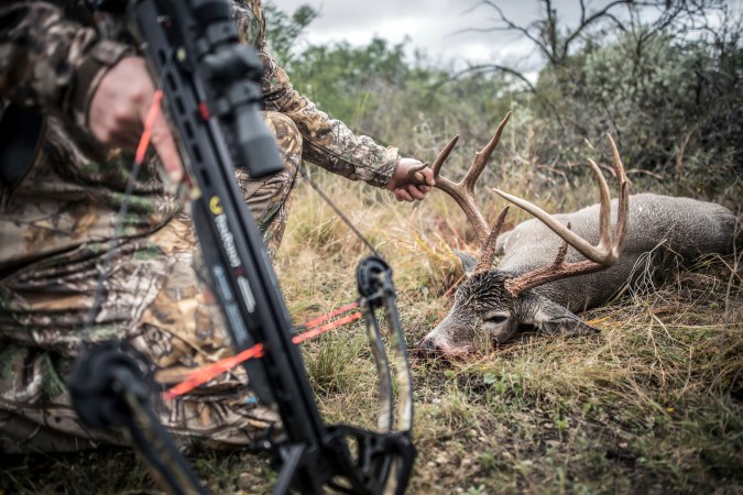 Bowhunters and Crossbow Hunters Are Killing More Deer. Is That a Bad Thing?