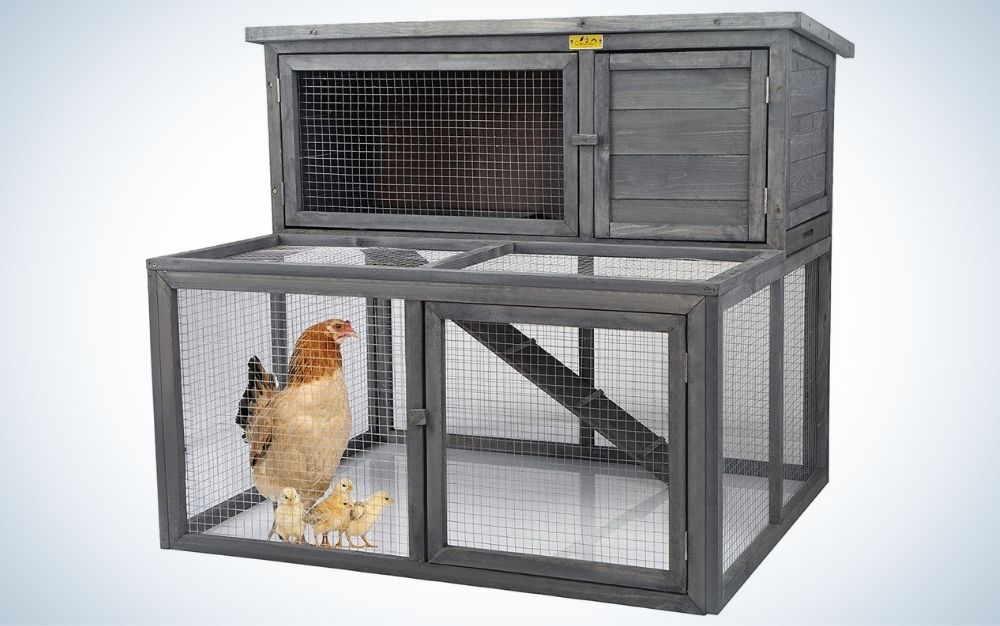 Best Chicken Coop To Raise Chickens Outdoor Life