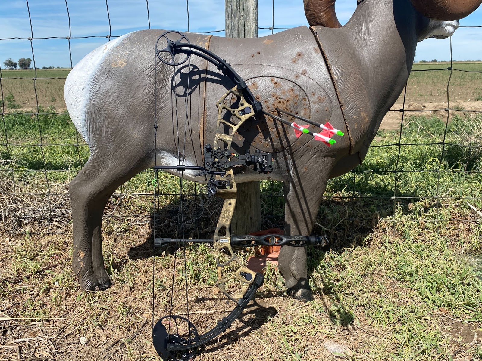 Hunting bow leaning against target with two arrows in the bullseye