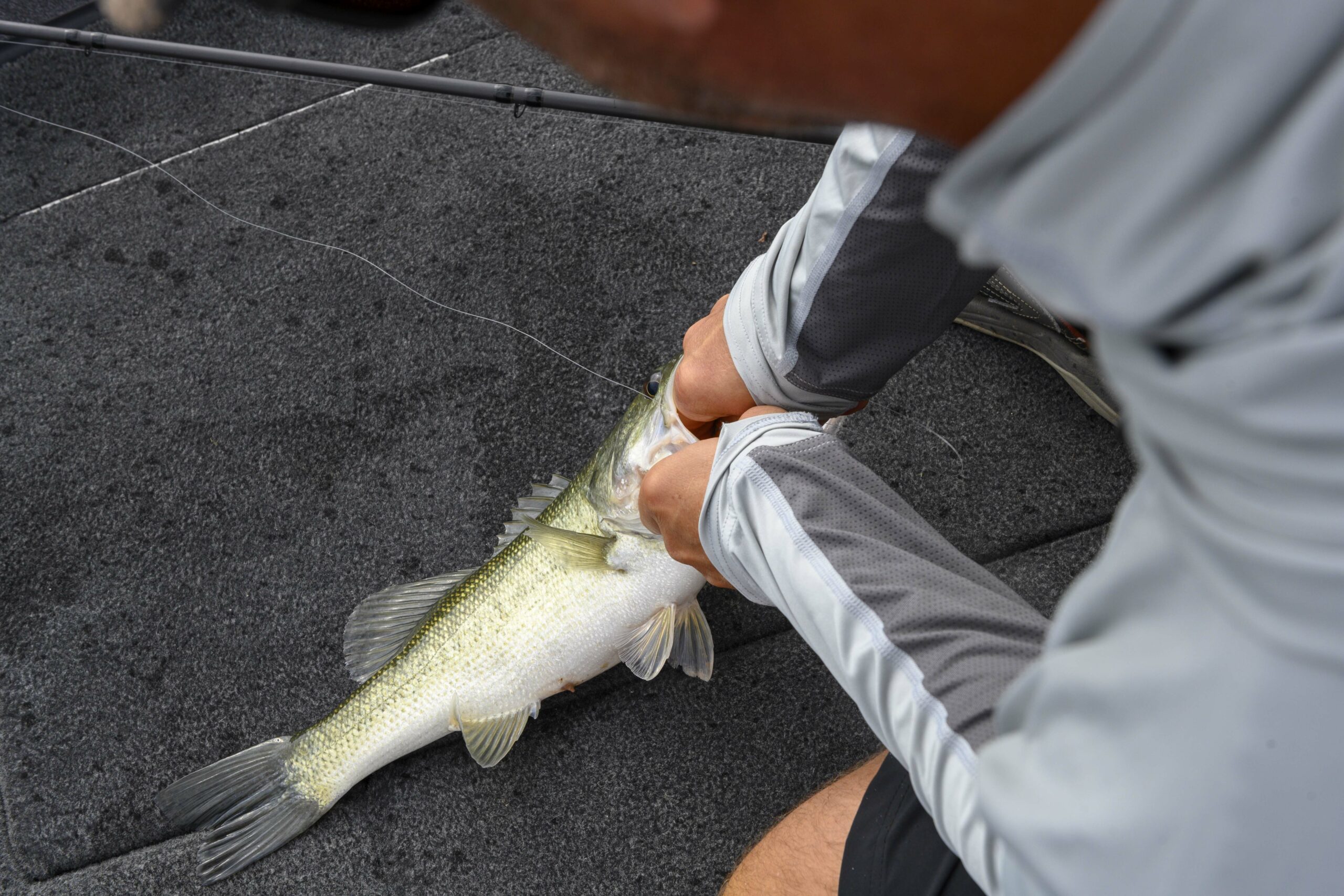3 Rods Every Bass Angler Needs to Catch More Fish