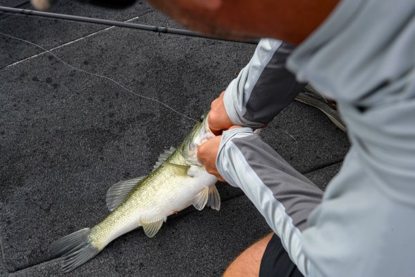 3 Rods Every Weekend Bass Angler Needs to Catch More Fish