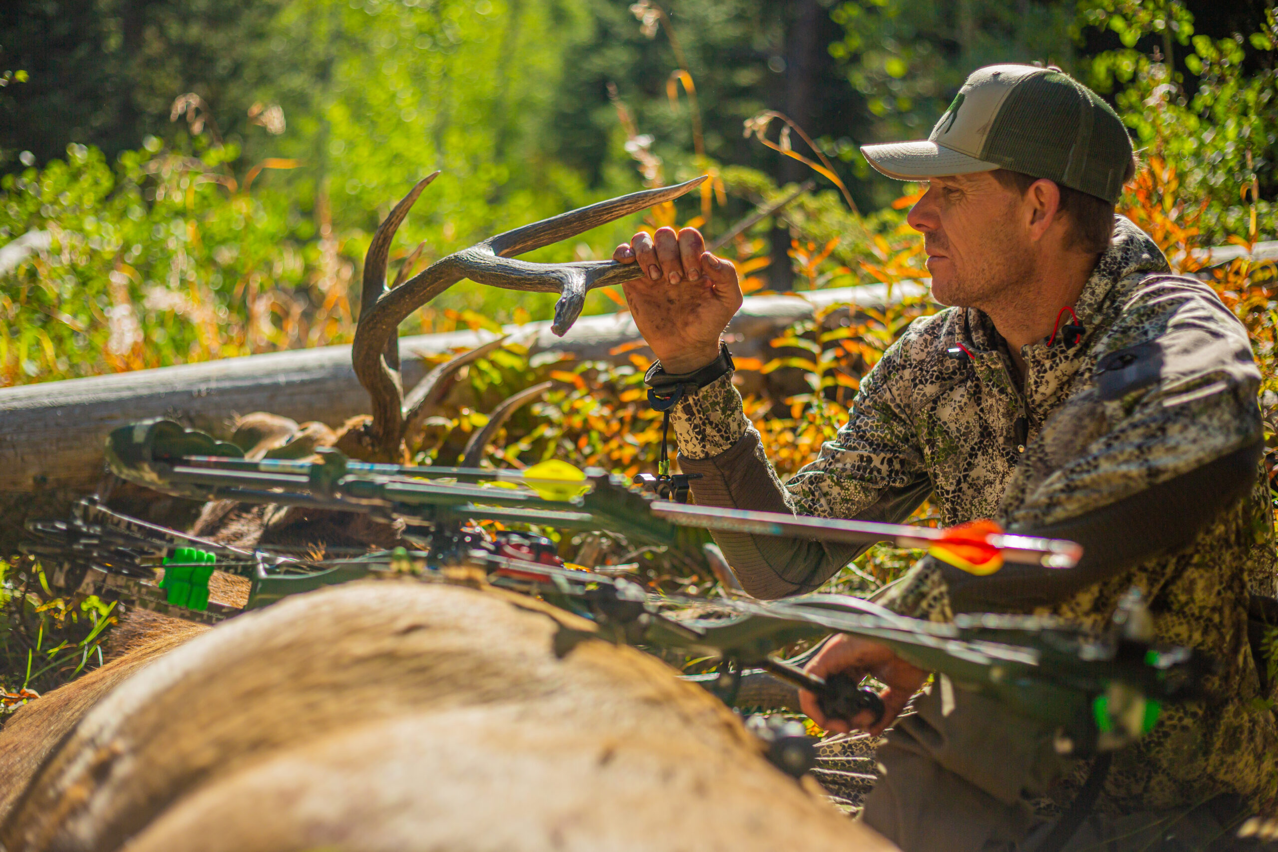 How to Setup Your Compound Bow for Elk Season Outdoor Life