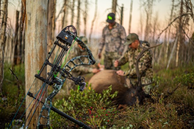 How to Choose a Compound Bow—and Set It Up—for Elk Season