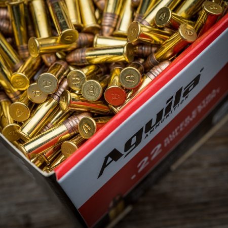 More Than 7 Million Rounds of Ammo Bound for U.S. Were Stolen in Central Mexico